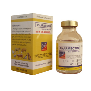 Tiêm trị chó ghẻ